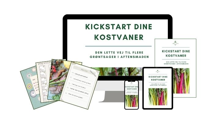 Hverdagsmad med ekstra grønt mock up (2)